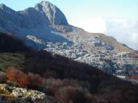 Alpi_Apuane (374), Alpinismo (498), Gr_Panie (106), Pania Secca (18)